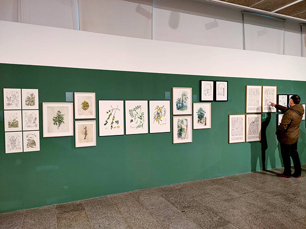 Ellas Ilustran Botánica, Spain